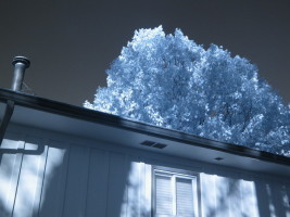 img_0037 img_0037