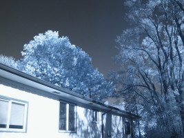 img_0039 img_0039