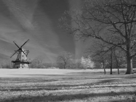 img_6015bw img_6015bw