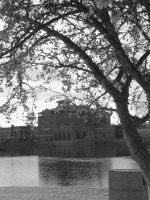 img_6038bw img_6038bw