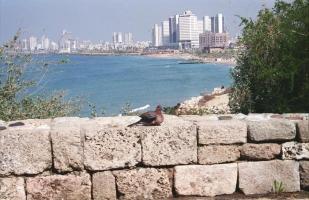 Israel1996_0276