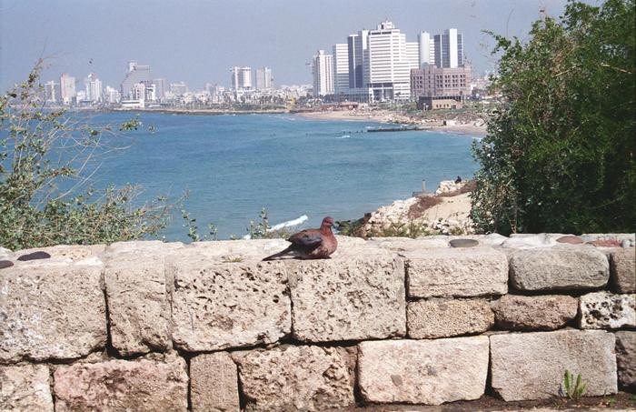 Israel1996_0276