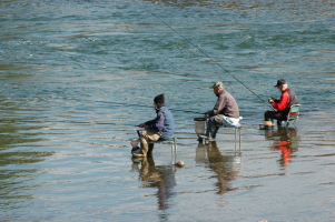 Kyoto_Uji_1