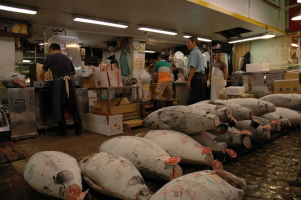 Tokyo_Tsukiji_12