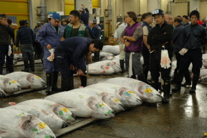 Tokyo_Tsukiji_2