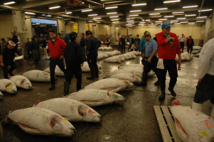 Tokyo_Tsukiji_6