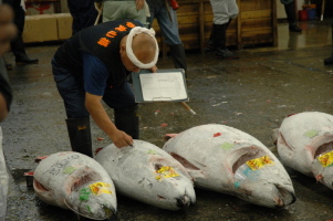 Tokyo_Tsukiji_7