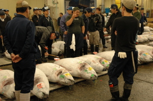 Tokyo_Tsukiji_8