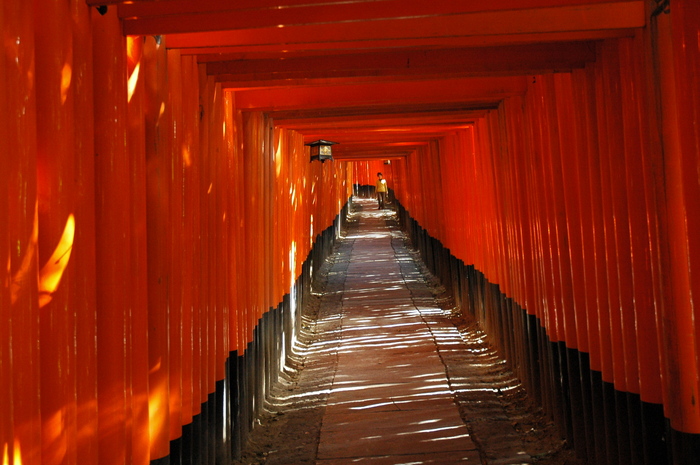 Kyoto_Inari_2