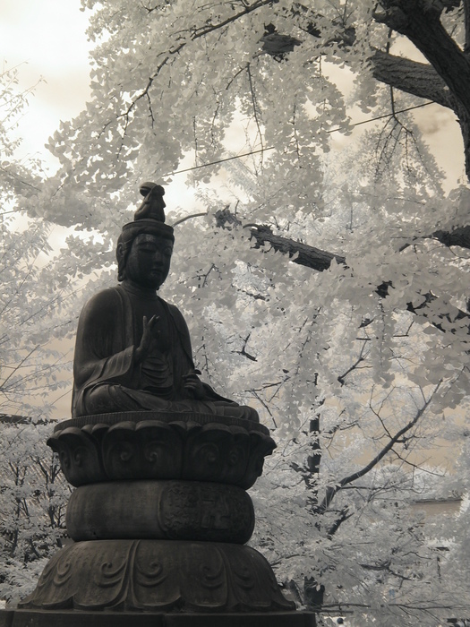 Tokyo_Asakusa_10