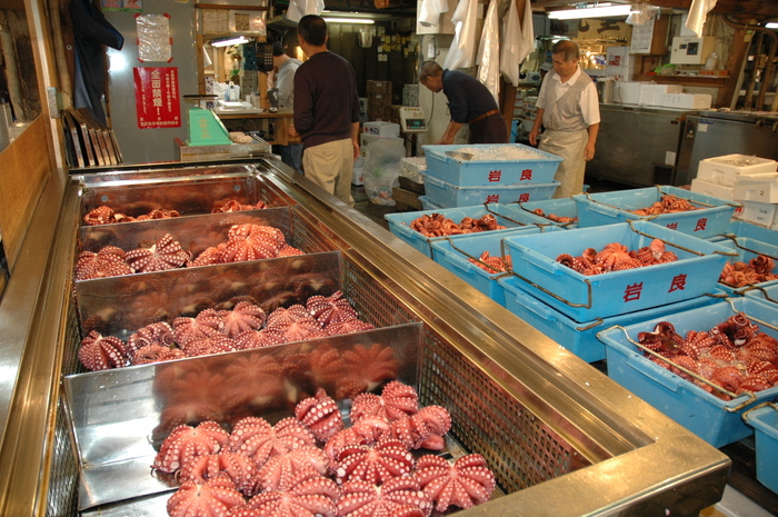 Tokyo_Tsukiji_11a