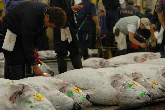 Tokyo_Tsukiji_5