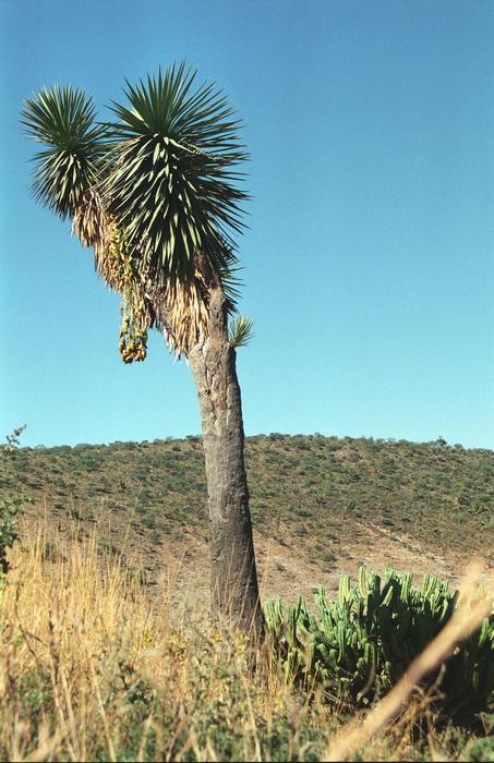 Mexico1995_0139