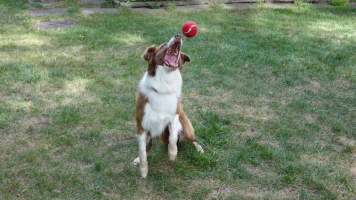 DSC05361 DSC05361