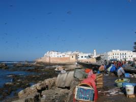 Morocco_Essaouira3404