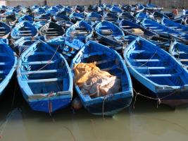 Morocco_Essaouira3415