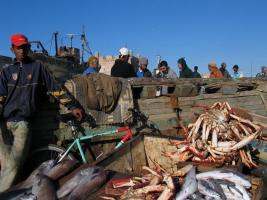 Morocco_Essaouira3419