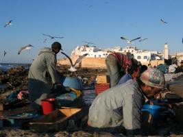 Morocco_Essaouira3453