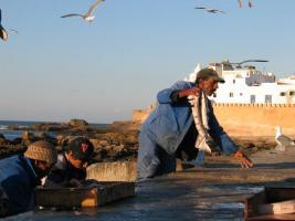 Morocco_Essaouira3457