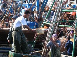 Morocco_Essaouira3477