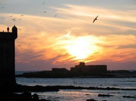 Morocco_Essaouira3544