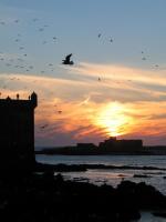 Morocco_Essaouira3548