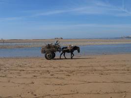 Morocco_Essaouira3567