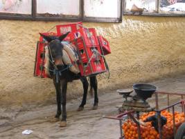 Morocco_Fes2597