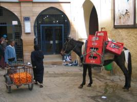 Morocco_Fes2600