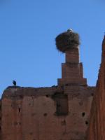 Morocco_Marrakech3356