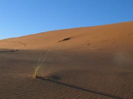 Morocco_Merzouga2765