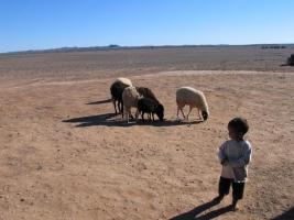 Morocco_Merzouga2848