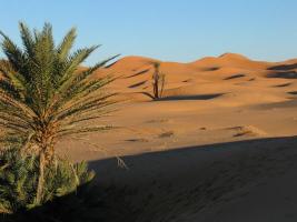 Morocco_Merzouga2871