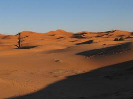 Morocco_Merzouga2874