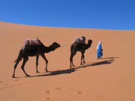 Morocco_Merzouga2985