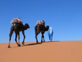 Morocco_Merzouga2990