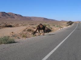 Morocco_Merzouga3066