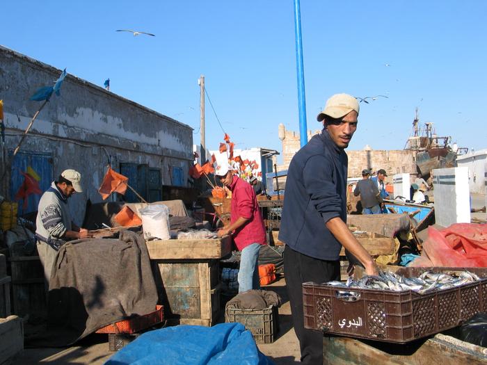 Morocco_Essaouira3428