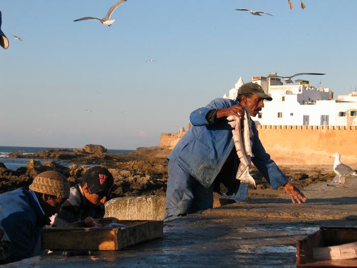 Morocco_Essaouira3457