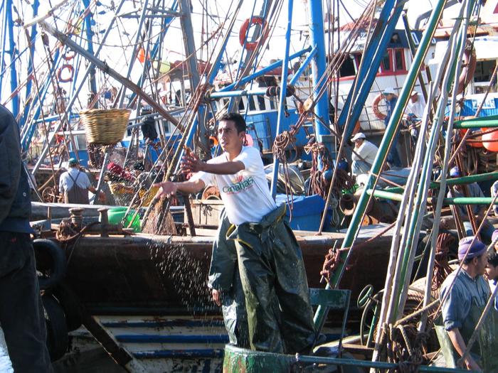 Morocco_Essaouira3480