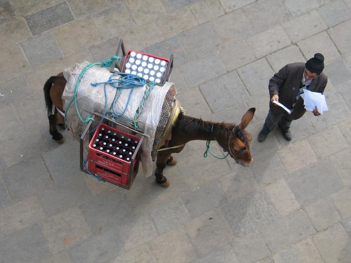 Morocco_Fes2674