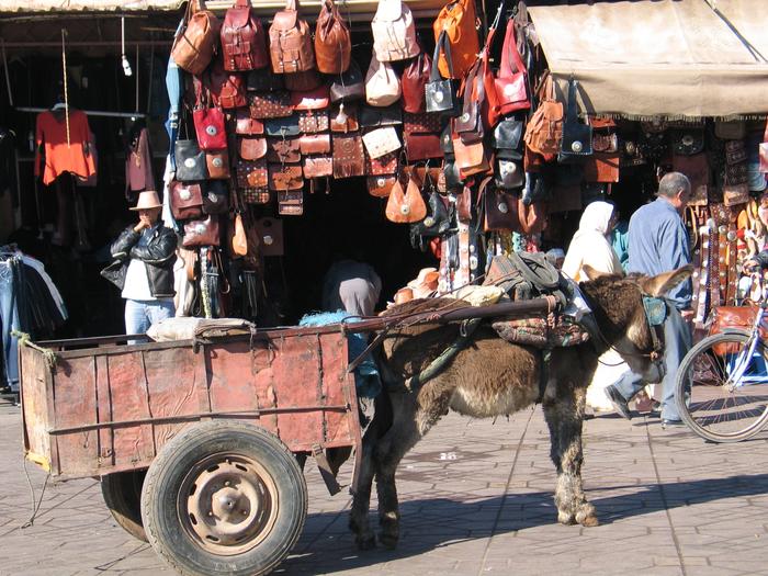 Morocco_Marrakech3275