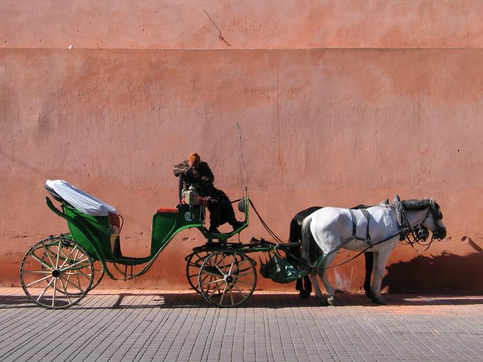 Morocco_Marrakech3377