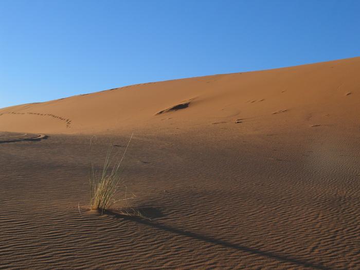 Morocco_Merzouga2765