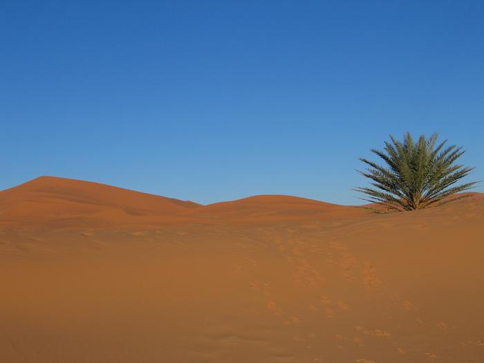 Morocco_Merzouga2870