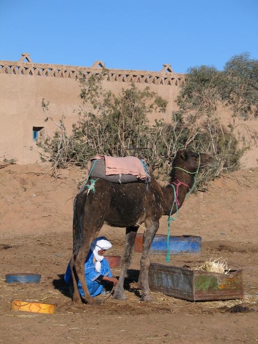 Morocco_Merzouga2885