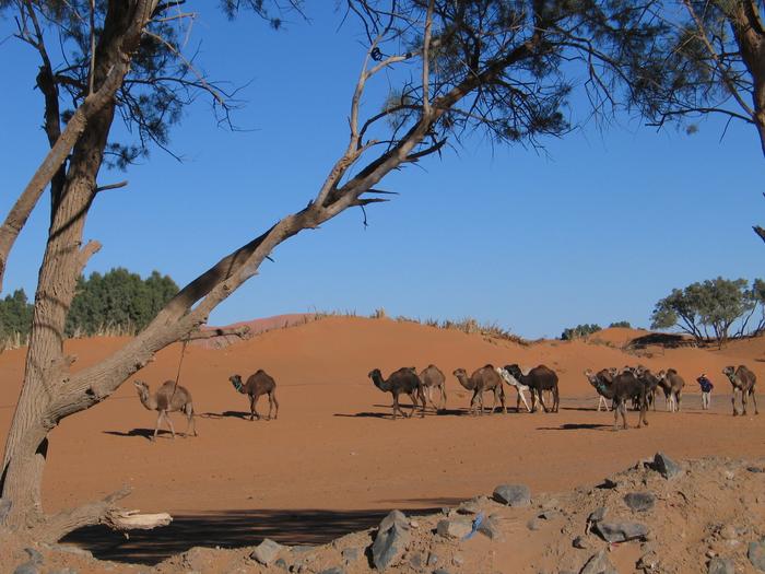 Morocco_Merzouga3014