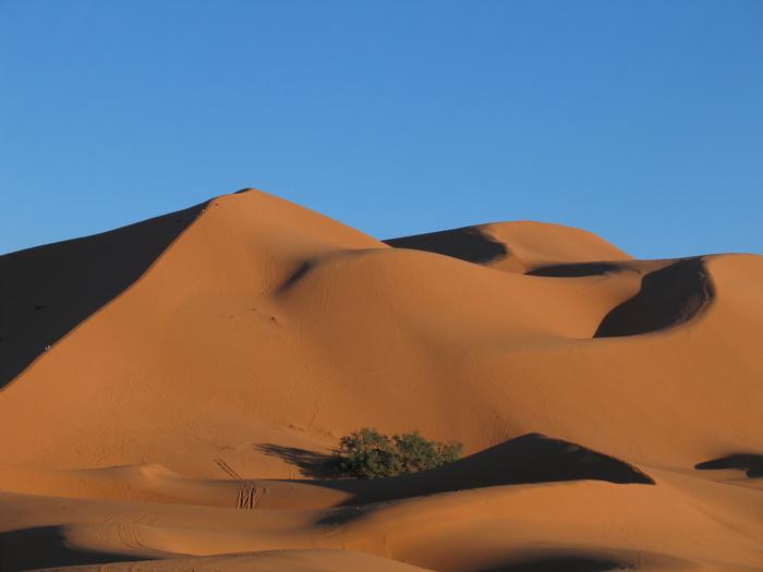 Morocco_Merzouga3048