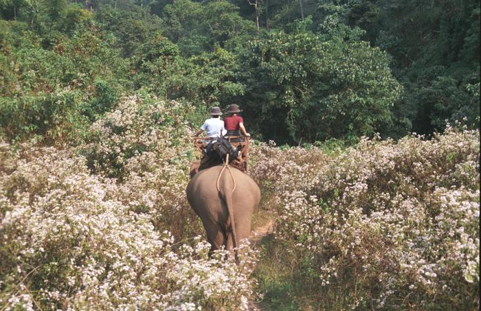 Thailand1998_0166