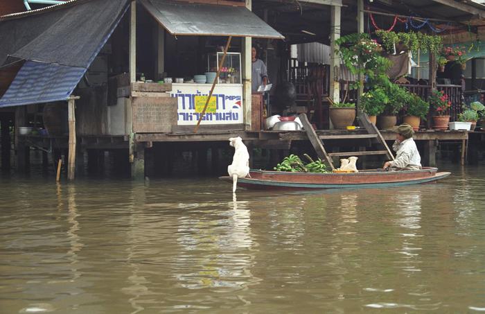 Thailand1998_0669